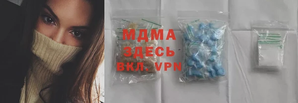 сатива Кулебаки
