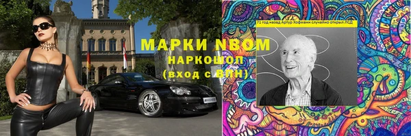 сатива Кулебаки