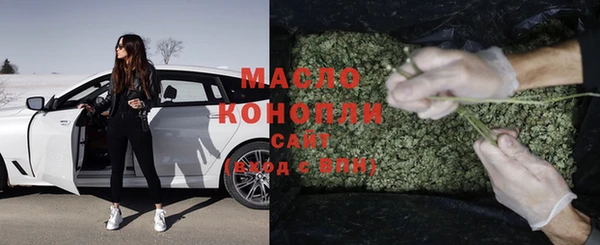 сатива Кулебаки