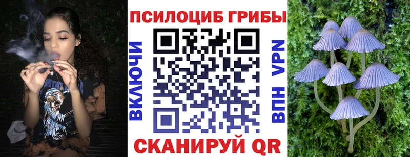 Псилоцибиновые грибы MAGIC MUSHROOMS  как найти   blacksprut сайт  Людиново 